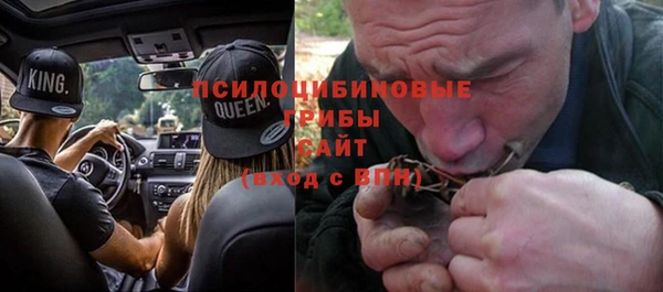 ГАЛЛЮЦИНОГЕННЫЕ ГРИБЫ Балабаново