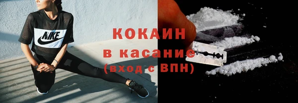 ПСИЛОЦИБИНОВЫЕ ГРИБЫ Белокуриха