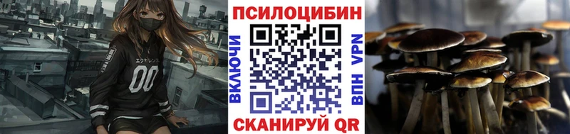 KRAKEN рабочий сайт  Ленск  Псилоцибиновые грибы прущие грибы 